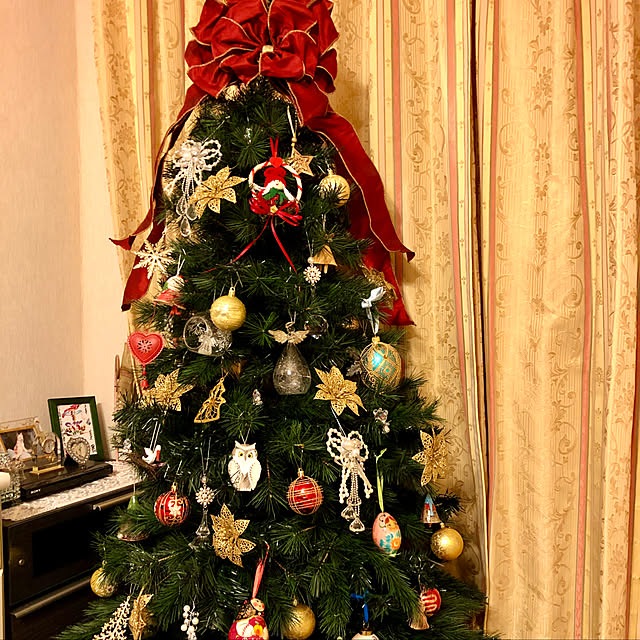 クリスマスツリー/リビングのインテリア実例 - 2019-11-10 23:39:27