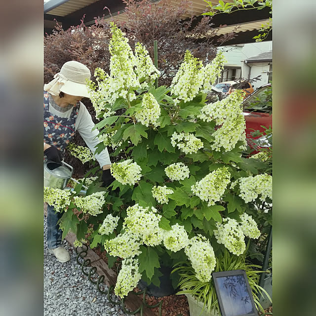 ponhanaさんの実例写真