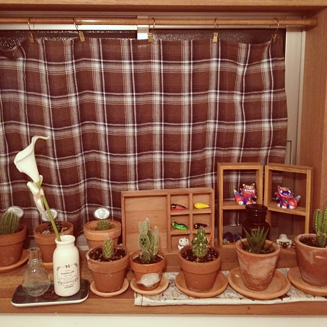usaさんの実例写真