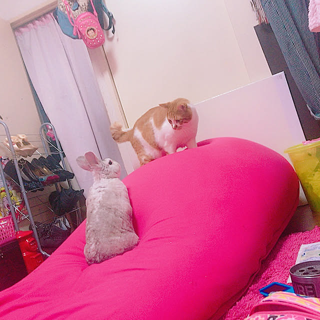 Harukiさんの実例写真