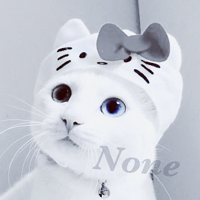 NONE/キッチンのインテリア実例 - 2020-09-24 11:31:20