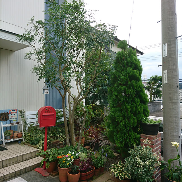 kohmarlさんの実例写真