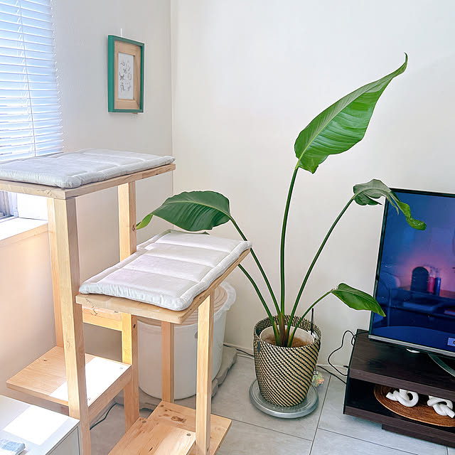 mako2yaさんの実例写真