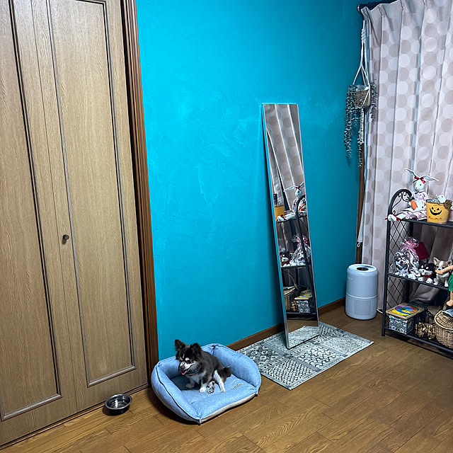 chIoeさんの実例写真