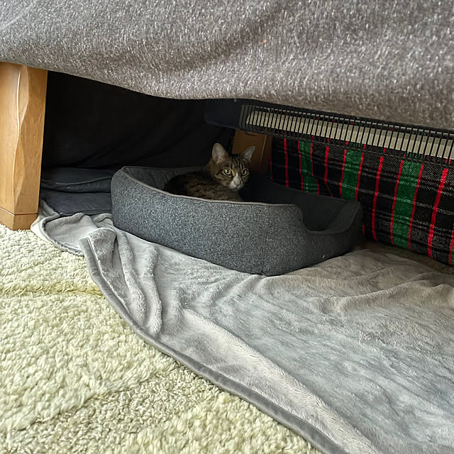 nobikoさんの部屋