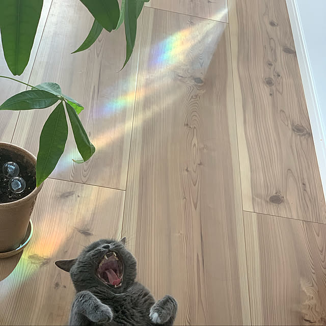 gmdw00aさんの実例写真