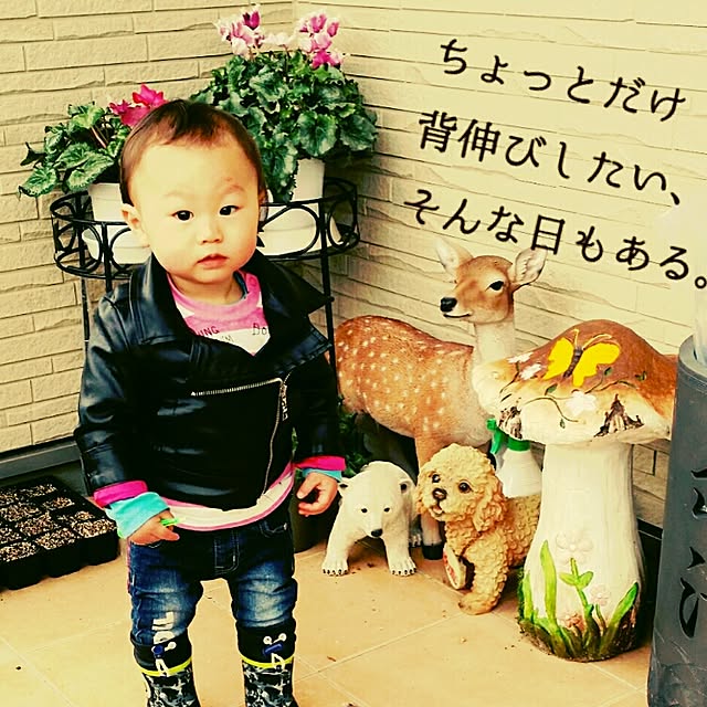 rinyameronxxさんの実例写真