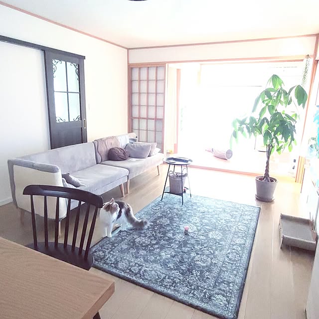+CHIHARU+さんの実例写真