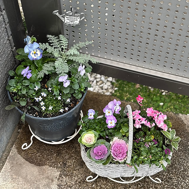 maayaさんの部屋