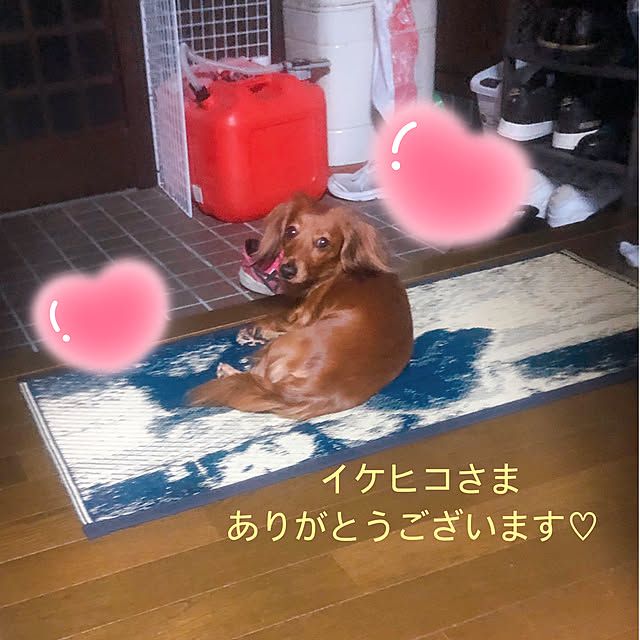 yuyuさんの部屋