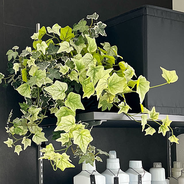 kazehaさんの部屋