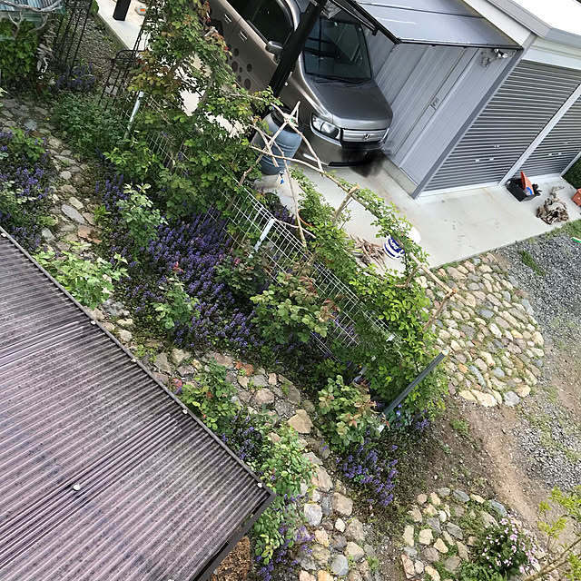pepeさんの実例写真