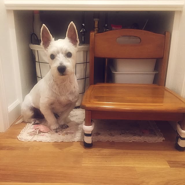 Rubanさんの実例写真