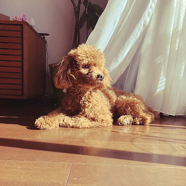 Kawaiさんの実例写真