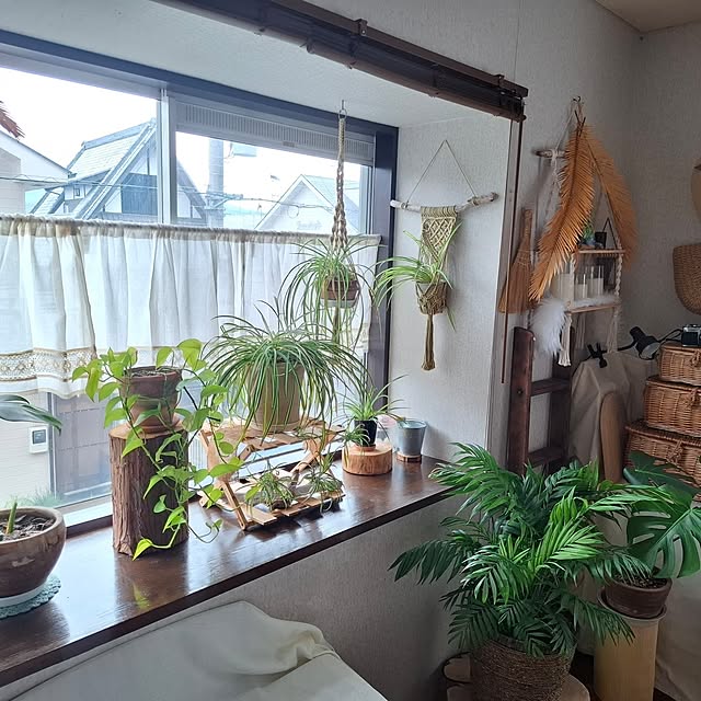 midoriさんの部屋