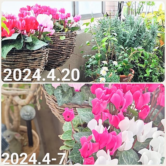 YuriYuriさんの部屋