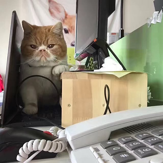 BeigeCamelBrownさんの実例写真