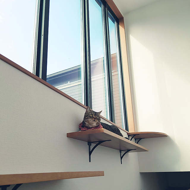 mochicoさんの実例写真