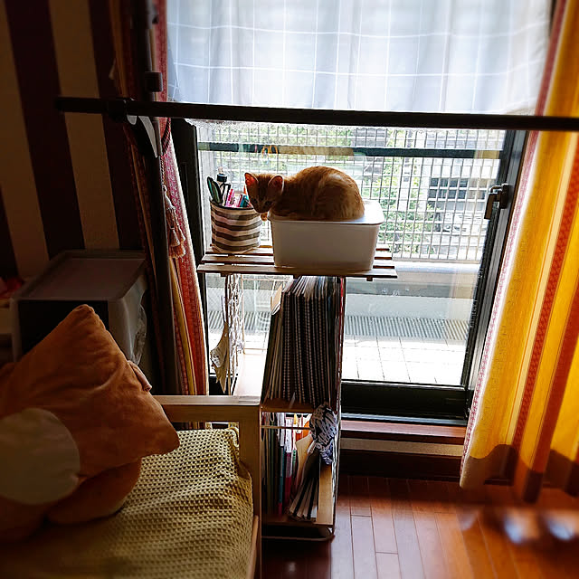 kikiさんの実例写真