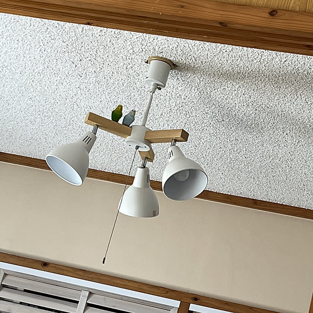 セリア/100均/ニトリ/部屋全体のインテリア実例 - 2021-12-28 15:02:04