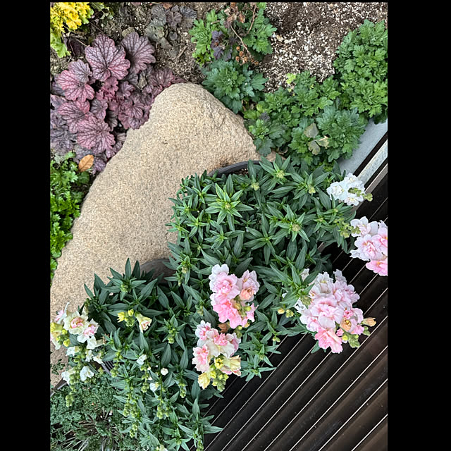 mamizaさんの実例写真