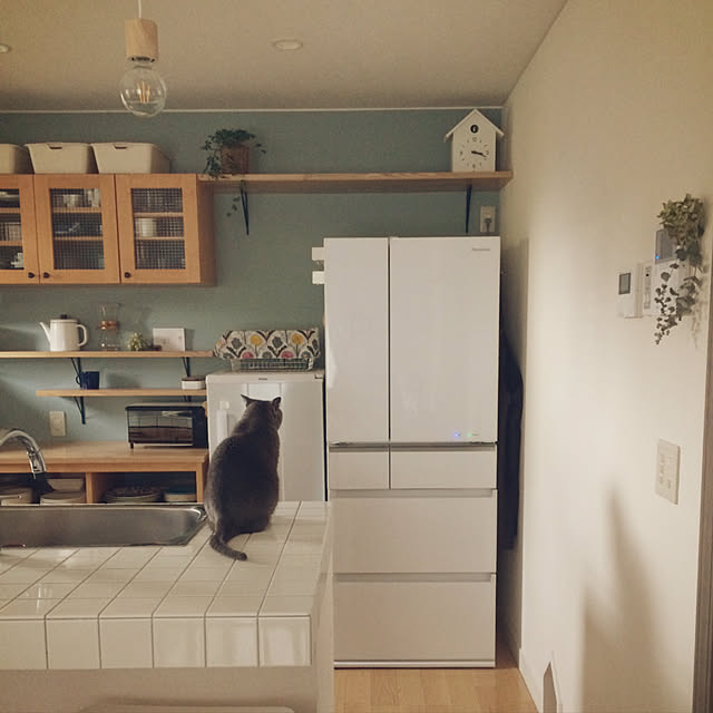 apiさんの実例写真