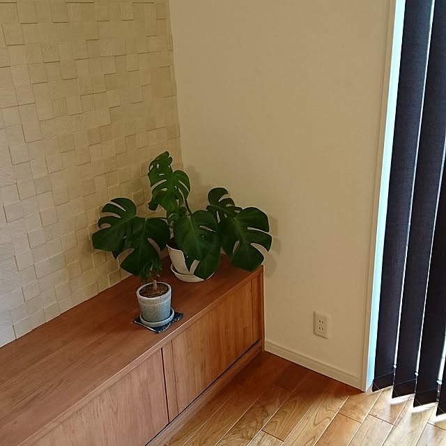 junaさんの実例写真