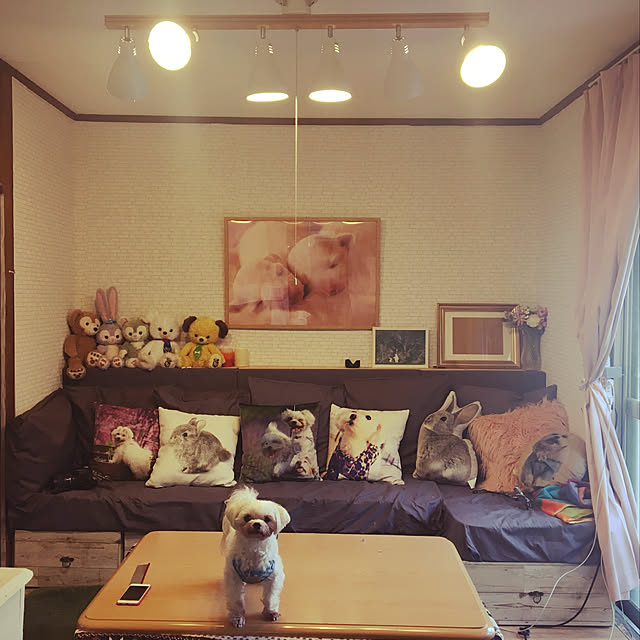 konohaさんの実例写真