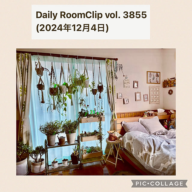 CoCo0617さんの実例写真