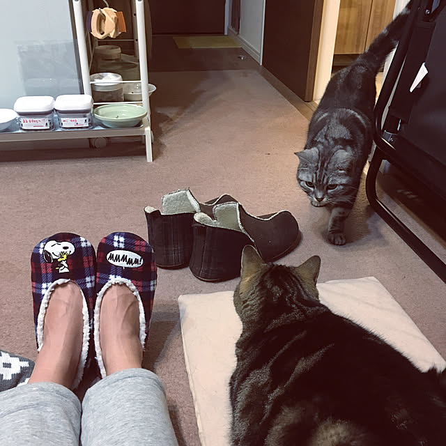 mikomaruさんの実例写真