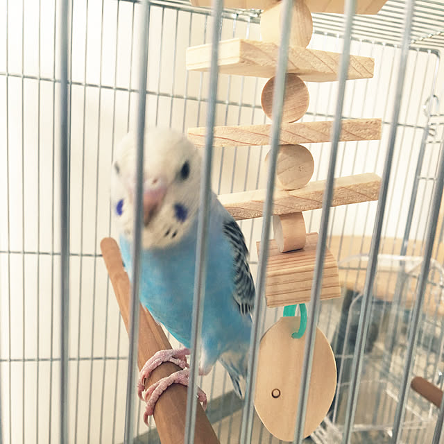 ohanaさんの実例写真