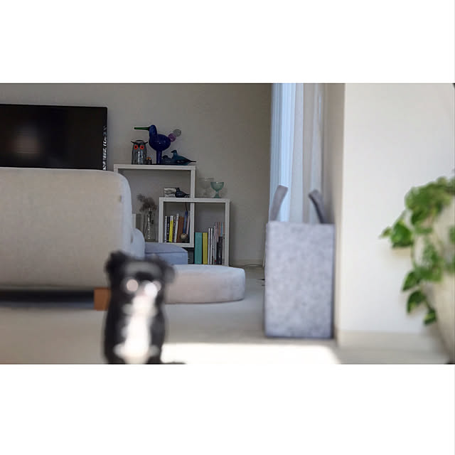 haruhinaさんの実例写真