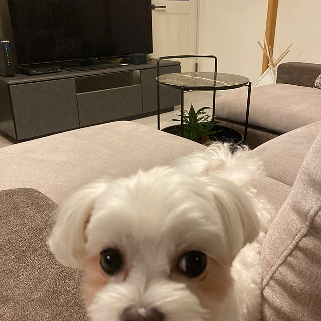 cindyhewittさんの部屋