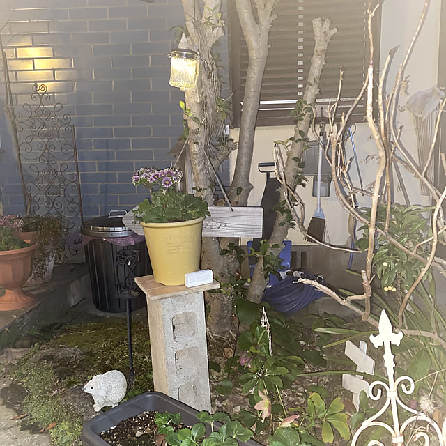 hanaさんの実例写真