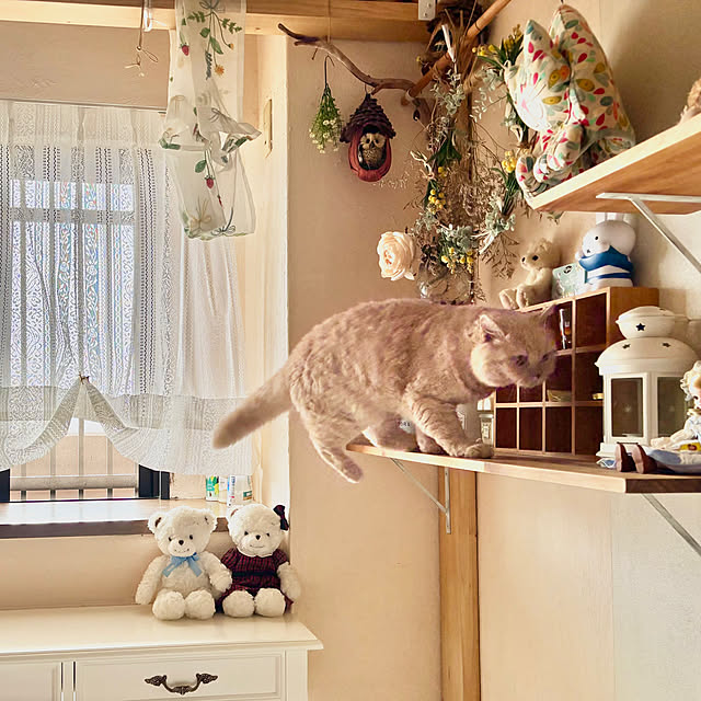naokoさんの部屋