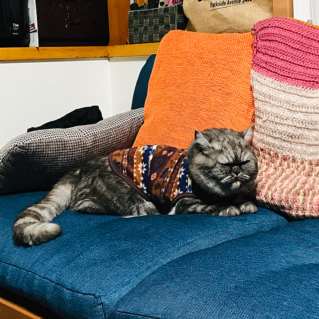 Marinさんの実例写真