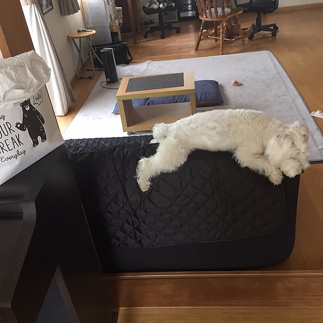 Mahoさんの実例写真