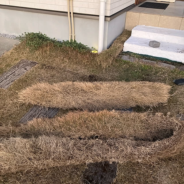 sachimさんの部屋