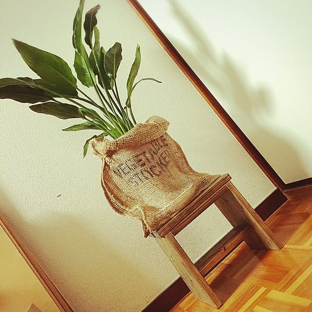 misaさんの実例写真