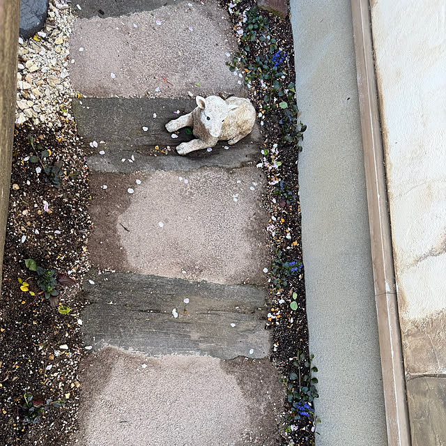 tabasaさんの部屋