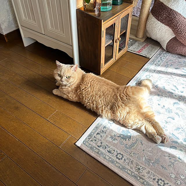 naokoさんの部屋