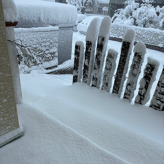 ajisaiさんの実例写真