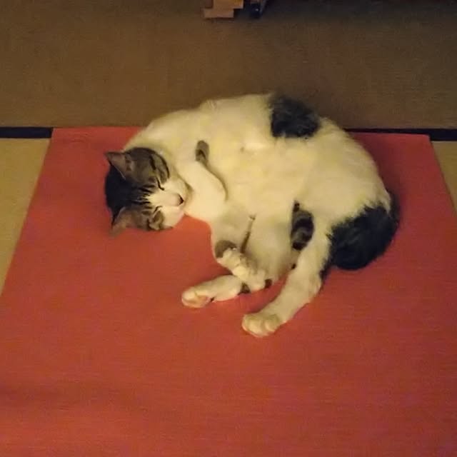 okyosan101さんの部屋