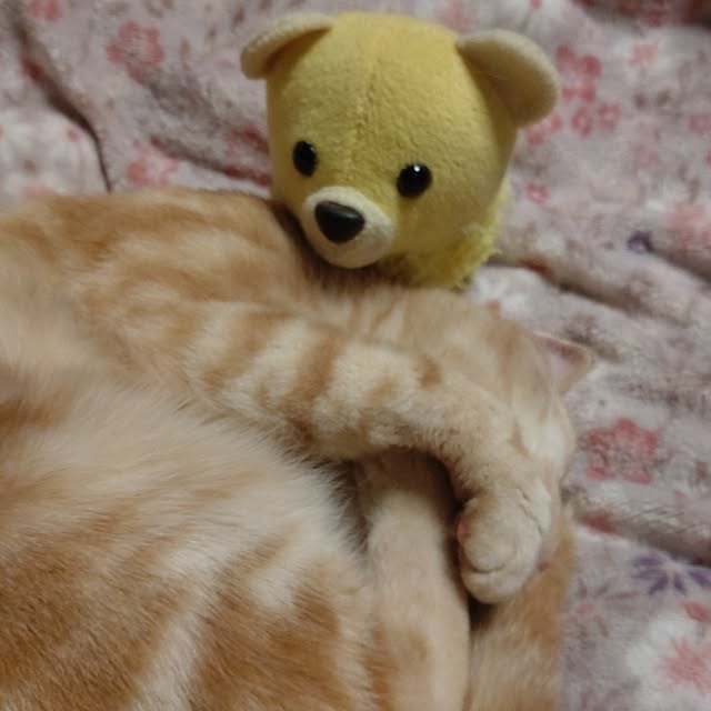 glassさんの実例写真