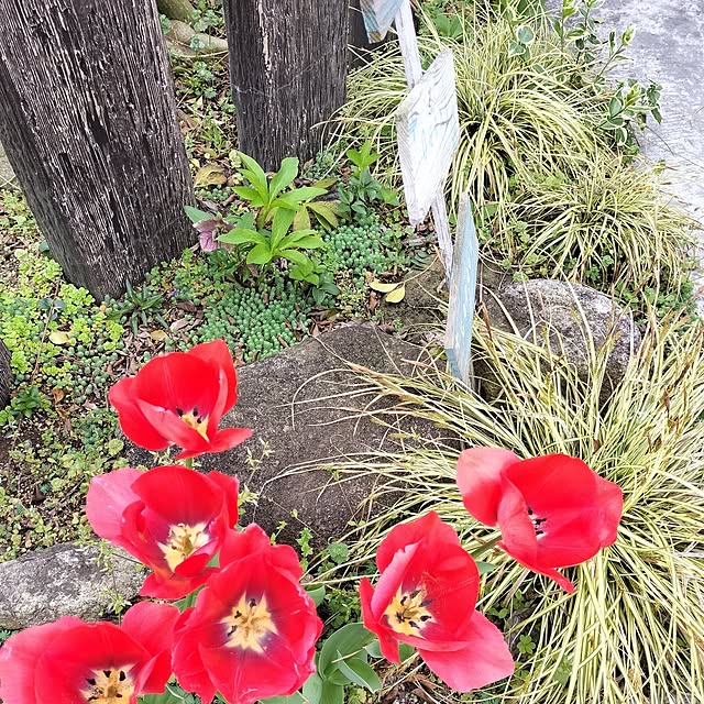 feuileさんの部屋