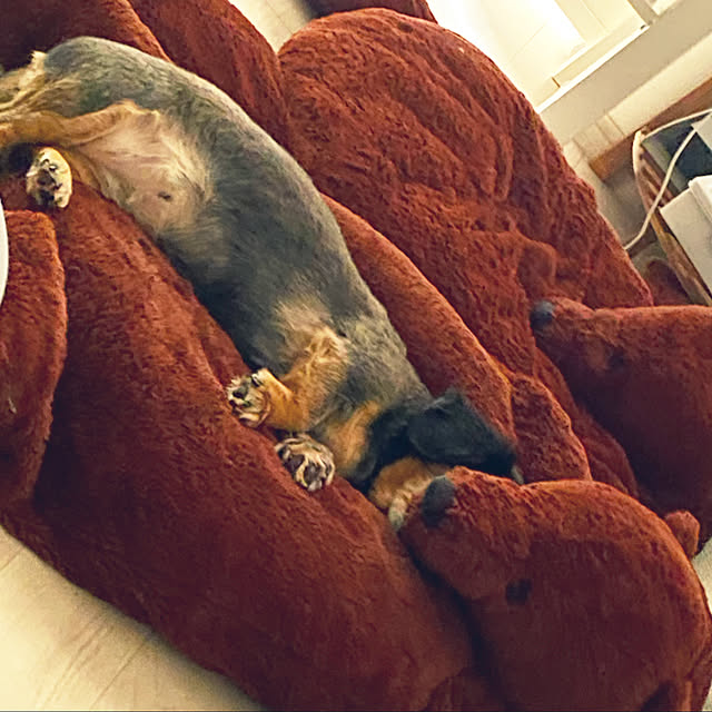 ohanaさんの実例写真