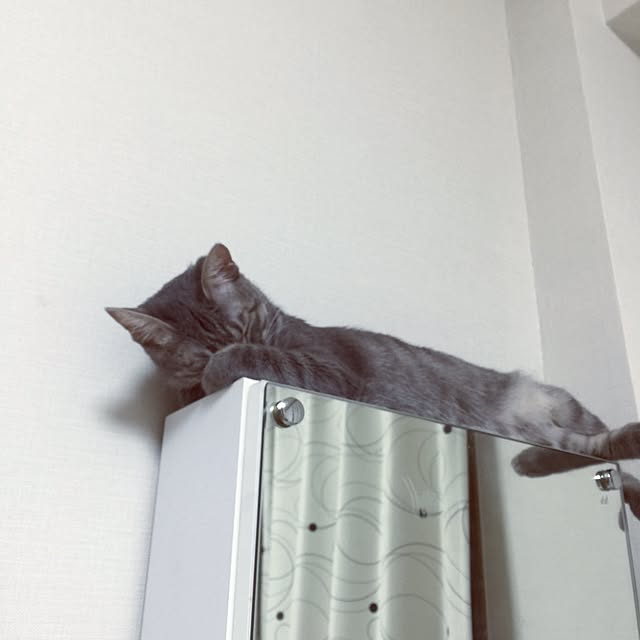 jojoさんの実例写真