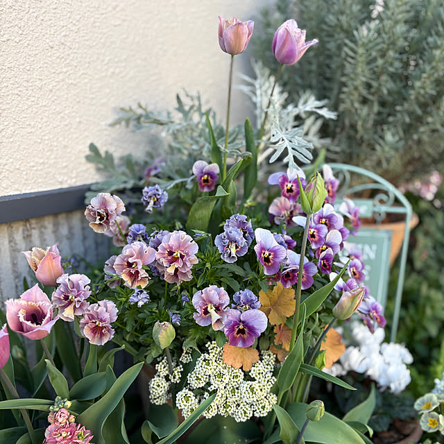 AINIさんの部屋