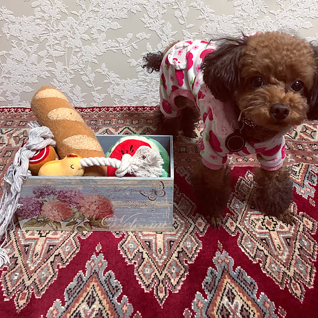 Tiaraさんの実例写真