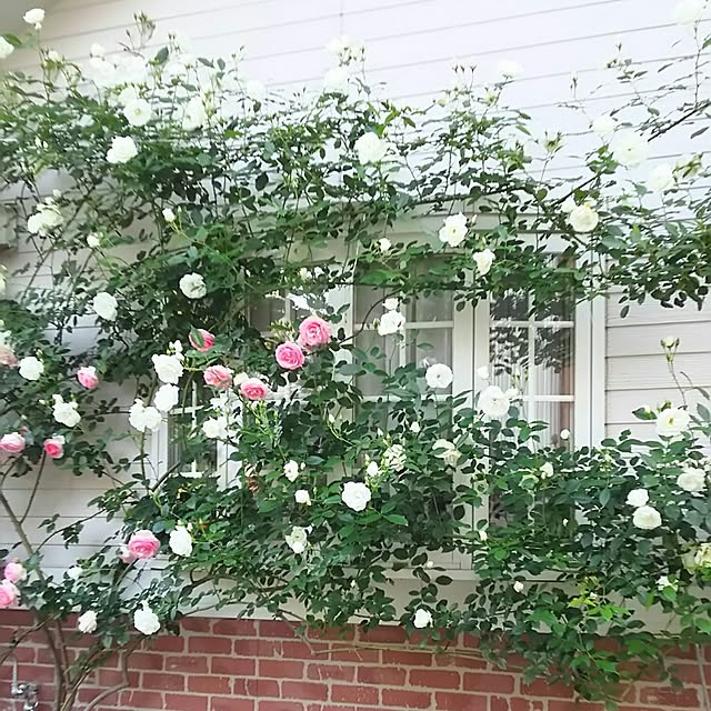 s.mamaさんの実例写真